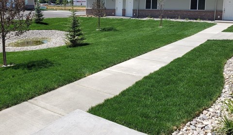 A well-maintained lawn with a concrete walkway and a small pond.