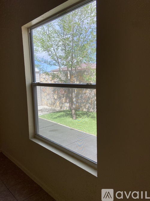 A window with a view of a tree and a building outside.