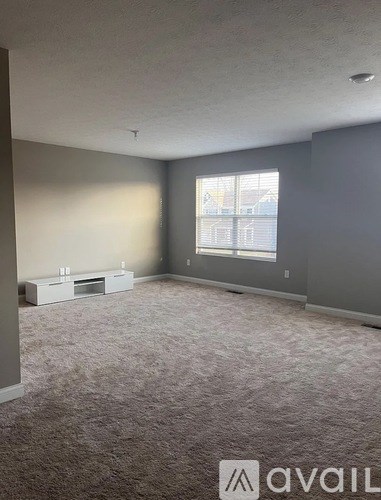 A living room with a grey carpet and a window with blinds.