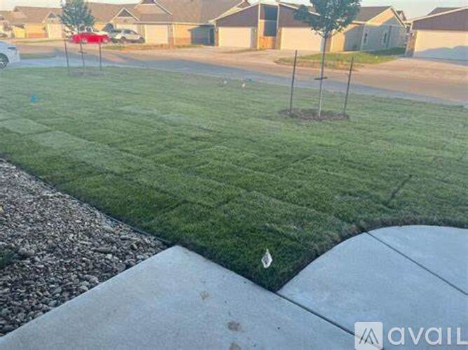 A grassy area with a tree and a sidewalk in front of a residential area.