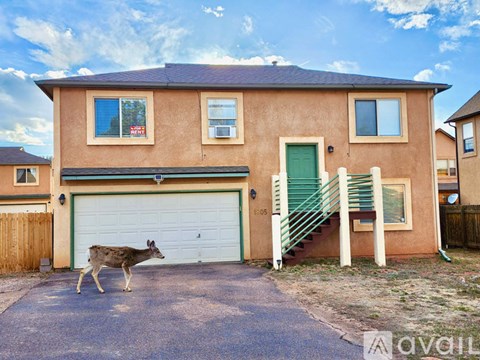 1805 Columbine Village Drive 4 Beds Apartment for Rent