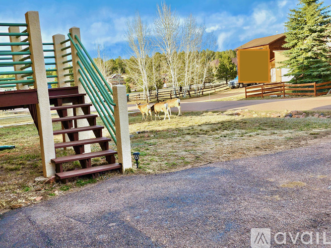 A wooden staircase with a green railing leads to a building in the distance.