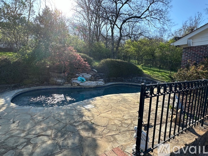 A black fence surrounds a small pool in a backyard.