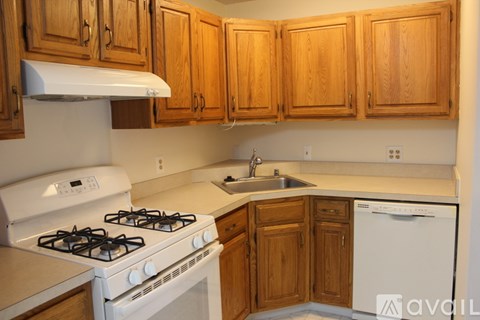 216 Locust St SE 2 Beds Apartment for Rent