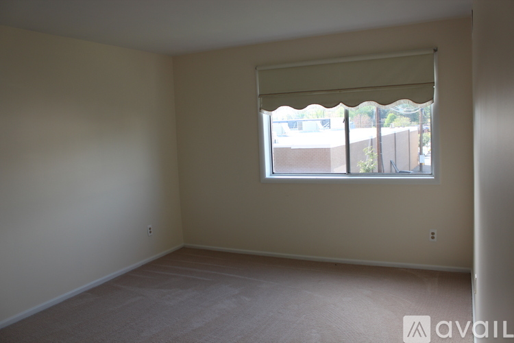 A room with a window and a carpeted floor.