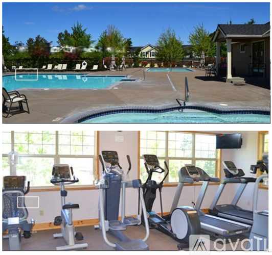 A gym with treadmills and exercise bikes.