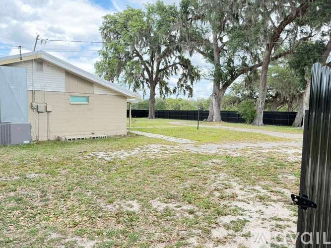 A backyard with a shed and trees.