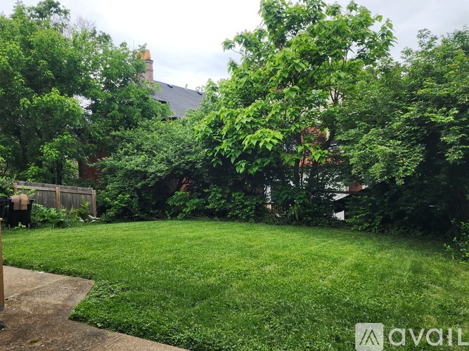 A backyard with a well-maintained lawn and trees.