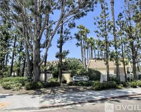 1572 Oro Vista Road 2 Beds Apartment for Rent