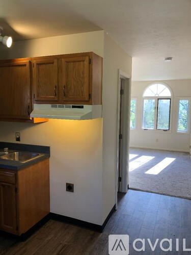 A kitchen with wooden cabinets and a sink.