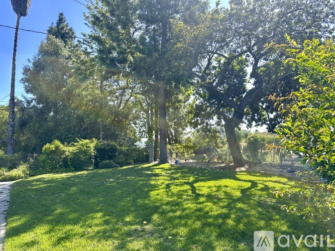 A sunny day in a park with a well-kept lawn and trees.