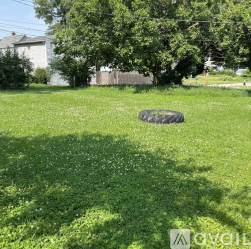 A green grass field with a tire in the middle and trees in the background.