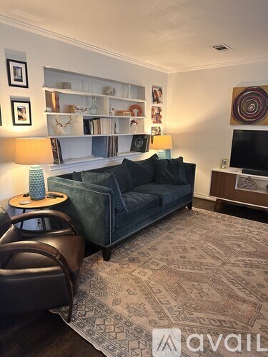 A living room with a green couch and a patterned rug.