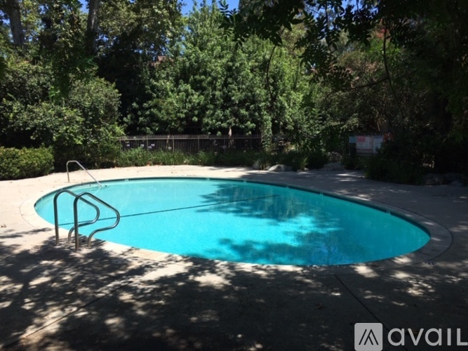 A round above ground pool surrounded by trees.