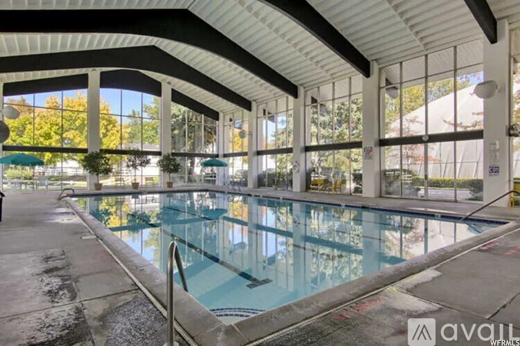 A large indoor swimming pool with a glass wall on one side.