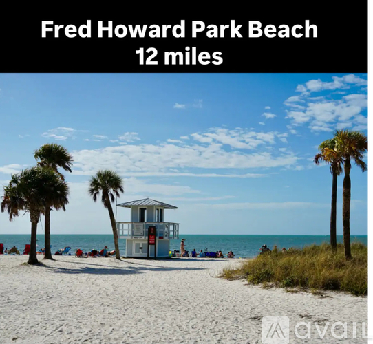 A beach scene with a lifeguard tower and palm trees.