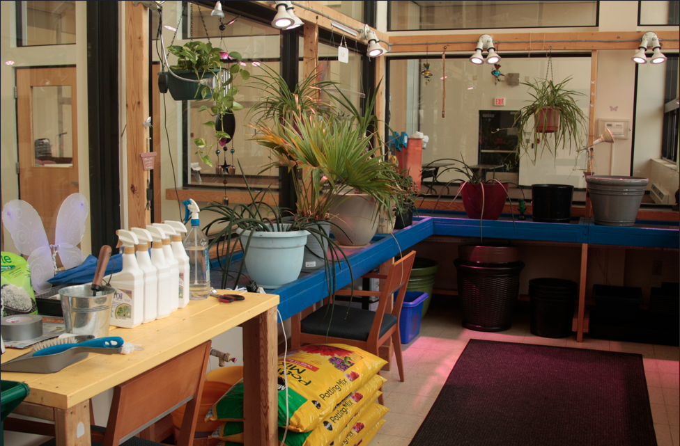 A room with a table, chairs, and potted plants.