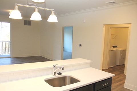 A kitchen with a sink and a window.