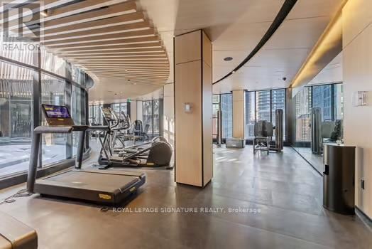 A treadmill is on the left side of a room with a wooden ceiling and a large window.