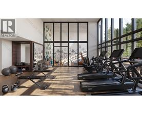 A gym with treadmills, weights and exercise equipment.
