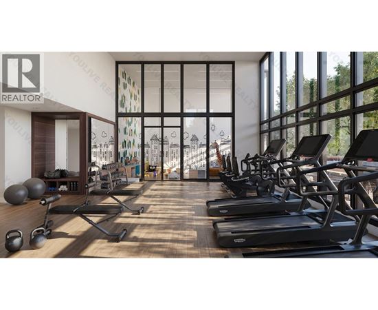 A gym with treadmills, weights and exercise equipment.