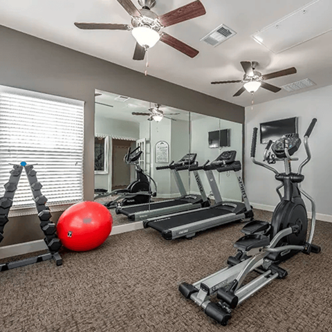 A gym with a red ball, treadmills, and exercise bikes.