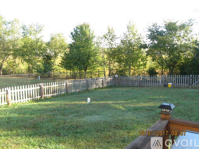 A backyard with a fence and trees.