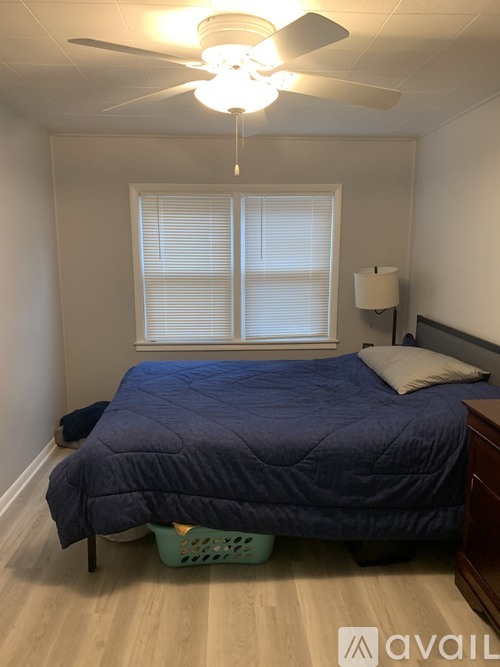 921 Court Street 1 Apartment for Rent - Photo gallery 5