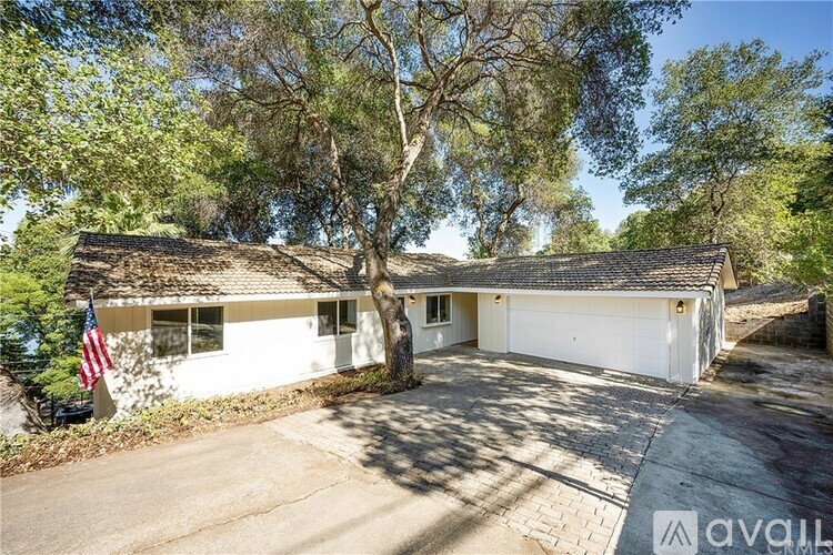 A house with a white exterior and a large tree in front.