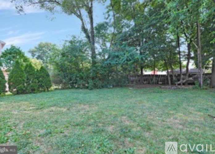 A grassy area with trees in the background.