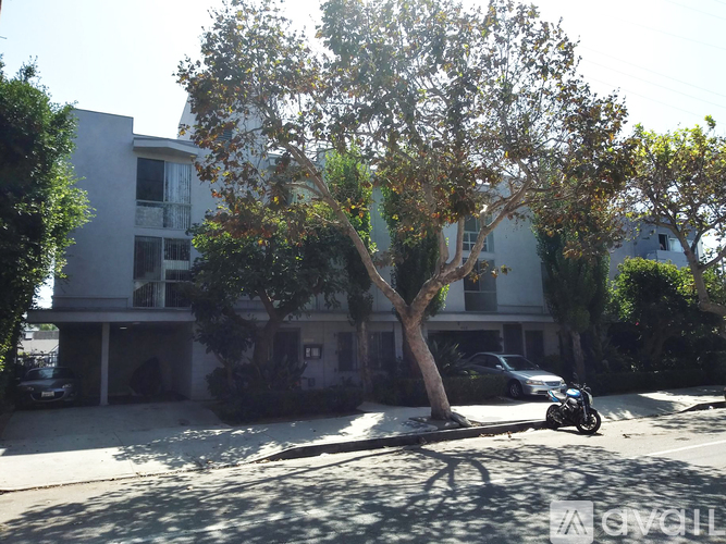 A tree in front of a building with a motorcycle parked on the street.