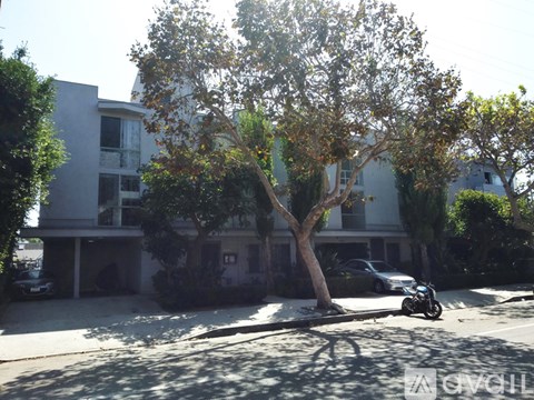 A tree in front of a building with a motorcycle parked on the street.