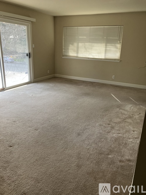 A room with a carpeted floor and a sliding glass door.