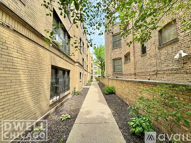 A narrow alley between two brick buildings with a sidewalk and greenery.