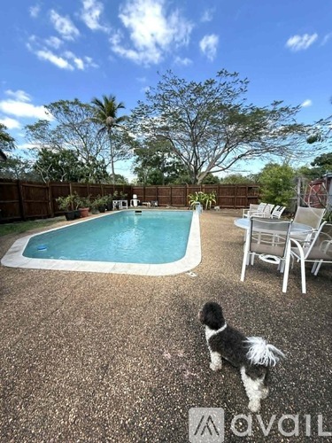 A dog is standing in front of a pool.