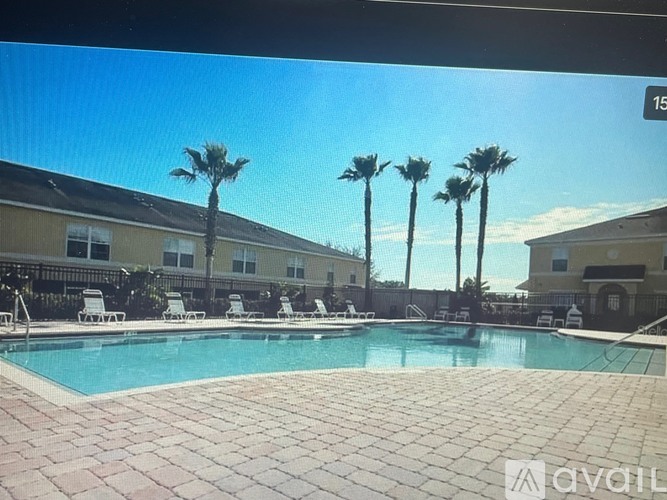 A pool surrounded by palm trees and lounge chairs.