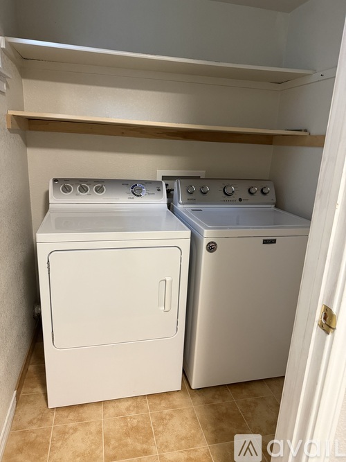 A white oven and dishwasher in a small kitchen.