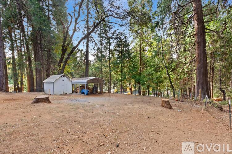 A cabin is surrounded by trees in a wooded area.