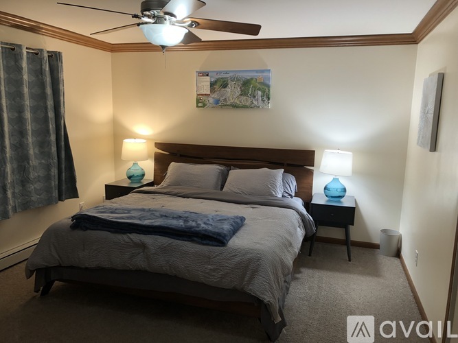 A bedroom with a bed, two lamps, and a ceiling fan.
