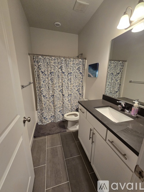 A bathroom with a toilet, sink, and shower curtain.
