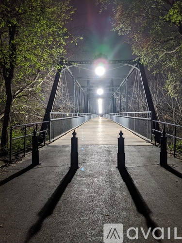 A bridge with lights on it and trees on the sides.