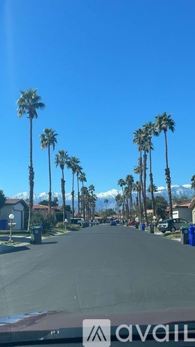 A street with palm trees on both sides.