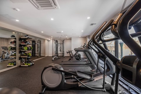 A gym with treadmills and exercise equipment.