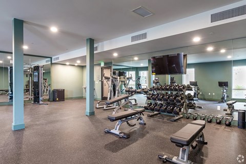 A gym with a variety of equipment including weights and cardio machines.