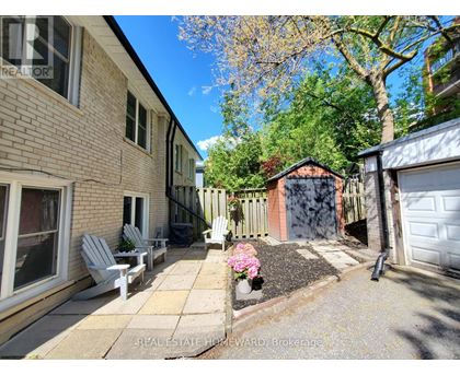 A sunny day at a residential area with a house, a tree, and a small garden.