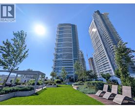 A sunny day in a city park with tall buildings in the background.