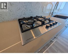 A Fisher-Payne stove top is in a kitchen with a marble backsplash.