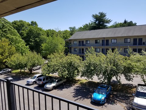 A parking lot with cars and a building in the background.