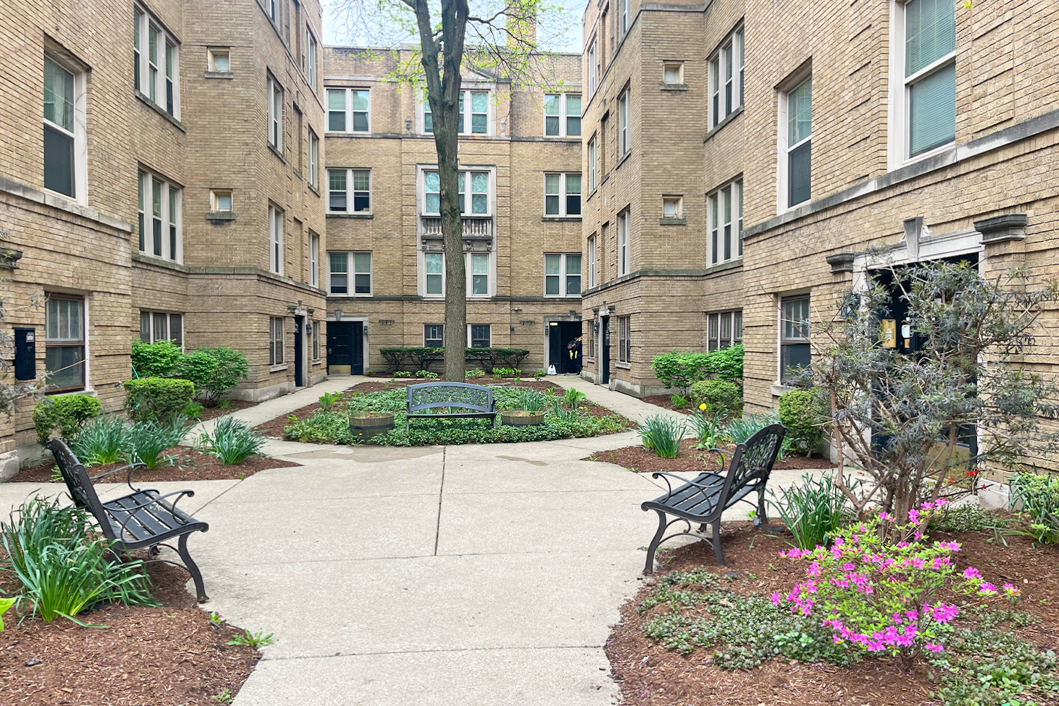A courtyard with a bench and a tree in the middle.