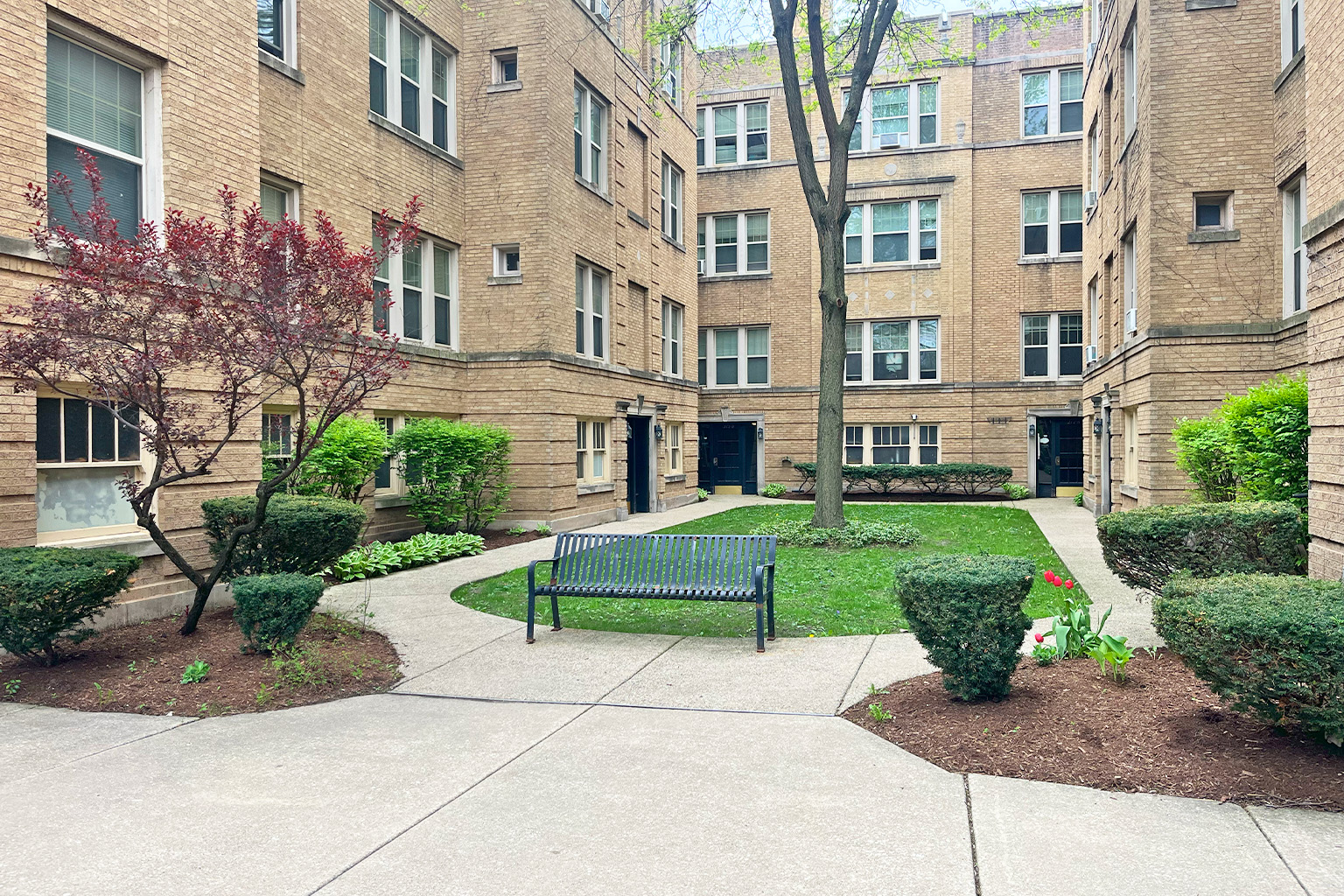 A courtyard with a bench and a tree in front of a brick building.